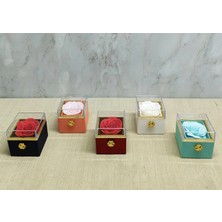 LTG Nova Romantik Gül Yüzük Kutusu Kare