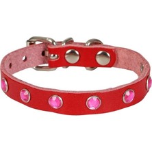 Indispensablely Taşlı Kedi ve Yavru Köpek Tasması 1,5X29 cm Kırmızı Xlarge