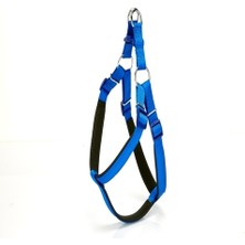 Indispensablely Köpek Bel Tasması 95CM Xx-Large