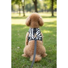 BiBa Pet Zebra Köpek Göğüs Tasması Seti Çekiştirme Önleyici/nefes Alan Kumaş/gezdirme Kayışı Dahil