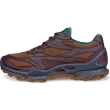Ecco Biom C-Trail