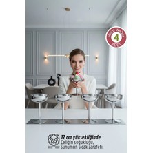 Creatividad Solutions Heidi Serisi 4’lü Paslanmaz Çelik Lüks Dondurma ve Sunum Kasesi Seti 12 cm 722888