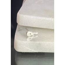 Jaida Moda Unisex 316L Cerrahi Çelik Gümüş Gitar Sembol Spor Çivi Küpe