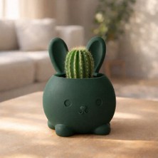 Basart Sevimli Tavşan Tasarımlı 3D Yazıcı Üretimi Dekoratif Mini Saksı ve Sukulent Kabı