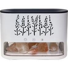 Hatıra Kutusu Diffuser ( Lisinya )