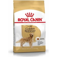 İsmiyle Al Royal Canin Golden Retriever Adult Yetişkin Köpek Maması 12 kg