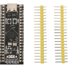 Voltaj STM32F411CEU6 Black Pill 100MHZ - 512KB Development Board