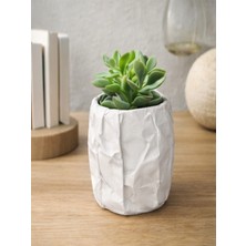 Lumiyo Modern Dekoratif Beton Saksı Beyaz