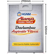 Hgnm E-Trading Teka Davlumbaz Filtresi 210MM x 320MM DM70 DG90 TDC60 TDC70 Aspitaör 32X21 21X32
