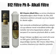 Isıkar 2" B12 Alkalin Filtre Su Arıtma Ph8+