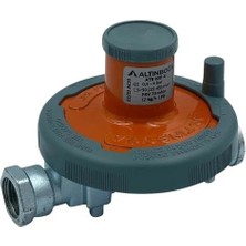 Dedantör Altınboğa 12 kg