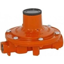 Dedantör Altınboğa 4 Kğ