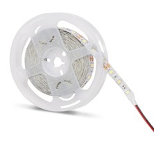 Noas 6500K 12V Beyaz Işık Iç Mekan Şerit LED YL40-4001 5m