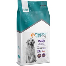 Carnı Vet Daıly Adult Kuzulu Köpek Maması 12 kg