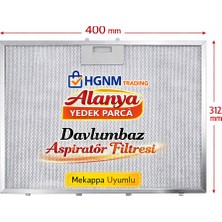 Hgnm E-Trading Mekappa Uyumlu Davlumbaz 40x31,2 cm (400x312 mm) Tel Yağ Filtresi 31,2x40 cm