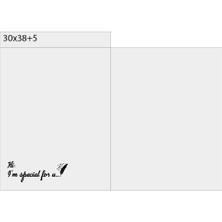 Birikim Ambalaj Buzlu Şeffaf Bantlı Kargo Poşeti 30X38+5 cm 100 Adet Kalın Dayanıklı 10 Mikron E-Ticaret Poşeti