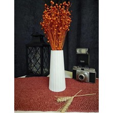 Özgürce Iskandinav Vazo Bohem Tarz Dekoratif Saksı Şık Ev Aksesuarı