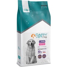 Carnı Vet Daıly Sensıtıve Adult Kuzulu Köpek Maması 12 kg