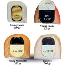 Galante Farm Galantèa - Premium Avrupa Paketi