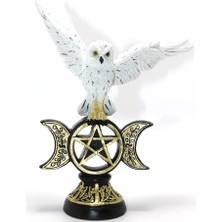 Aydogan's Polyester Baykuş