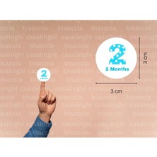 Casalinghi 3 cm (95 Adet) Mavi 2 Months Etiketi Puanlı Iki Aylık Yuvarlak Mat Çıkartma Bebek Cute Round Sticker