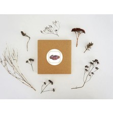 Casalinghi Hurma Etiketi Dates Yuvarlak Sticker Hajj Umre Mat Çıkartma Hediyelik 4 cm (40 Adet)