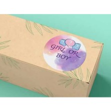 Bisaccia Girl Or Boy Sevimli Sticker Mat Etiket Baby Shower Serisi 4 cm (40 Adet)