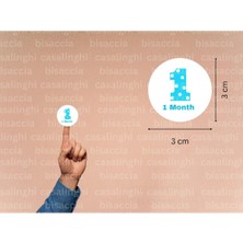 Casalinghi 3 cm (95 Adet) Mavi 1 Month Etiketi Puanlı Bir Aylık Yuvarlak Mat Çıkartma Bebek Cute Round Sticker
