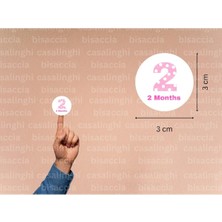 Casalinghi 3 cm (95 Adet) Pembe 2 Months Etiketi Puanlı Iki Aylık Yuvarlak Mat Çıkartma Baby Cute Round Sticker
