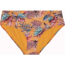 No Gossip Büyük Beden Kalın Kenar Tek Alt Bikini Alt