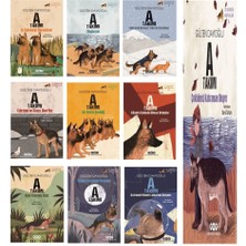 Gülten Dayıoğlu A Takımı Seti 10 Kitap