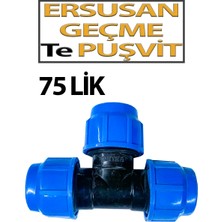 Ersusan Geçme Te Puşvit 75 Lik
