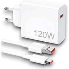 Lowell Home Ieg 120W Şarj Aleti RSIEG14544-LWLHM