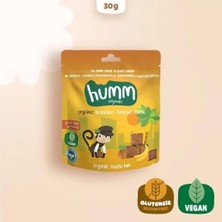 Najmaddin Humm Organik Glutensiz Vegan Muzlu Kek 30 gr