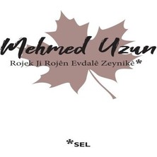 Judge Rojek Ji Rojen Evdale Zeynike