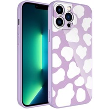 iPhone 12 Pro Max Uyumlu Kamera Korumalı Desenli Sert Silikon Ydst Epoksi Kapak-No6