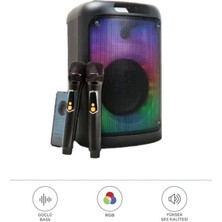 Başkenttekno Bluetooth Hoparlör Karaoke Subwoofer Kablosuz Çift Mikrofonlu 3000 Mah 2102