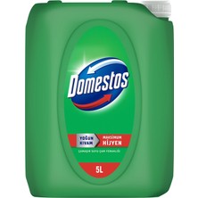 Domestos Çam Ferahlığı Çamaşır Suyu 5 L 2 Adet