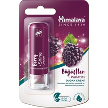 Himalaya Böğürtlen Parlatıcı Dudak Kremi 4.5g 3 Adet