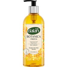 Dalan Botanica Frezya Sıvı Sabun 500 ml 5 Adet