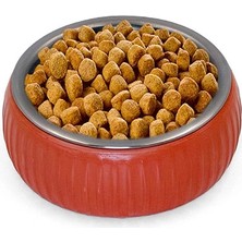 Livenda Mikopet Organik Seramik Mama Kabı Kiremit