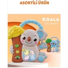 Urfakent 8808-C Koalalı Piyano 8 Li Box -Cn