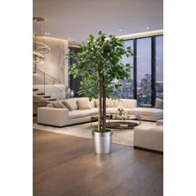 Altun Çiçekcilik Benjamin 150 cm Lux Metal Saksı Dahildir