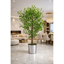 Altun Çiçekcilik Benjamin 150 cm Ağaç Lux Metal Saksı Dahildir