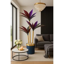 Altun Çiçekcilik Kılıc Yaprağı 3 Gövdeli Sıyah Gold Saksı Dahıl