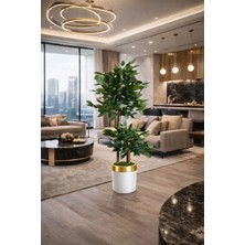 Altun Çiçekcilik Benjamin Ağacı 150 cm 2 Gövdeli Lüx Metal Saksı Dahil