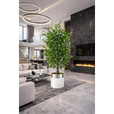 Altun Çiçekcilik 150 cm Yapay Benjamin Ağacı Lüks Saksılı Dekoratif Ağaç