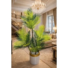 Altun Çiçekcilik Areka 4 Gövdeli Ağaç Beyaz Gold Lux Metal Saksı Dahıl