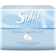 Sofia Skin Love Mini Mendil 75'li 3 Adet