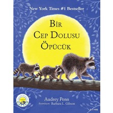 Bright Starts Cesur Minik Rakun (4 Adet)